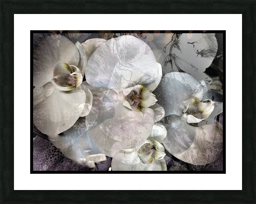 V900 Picture Frame print