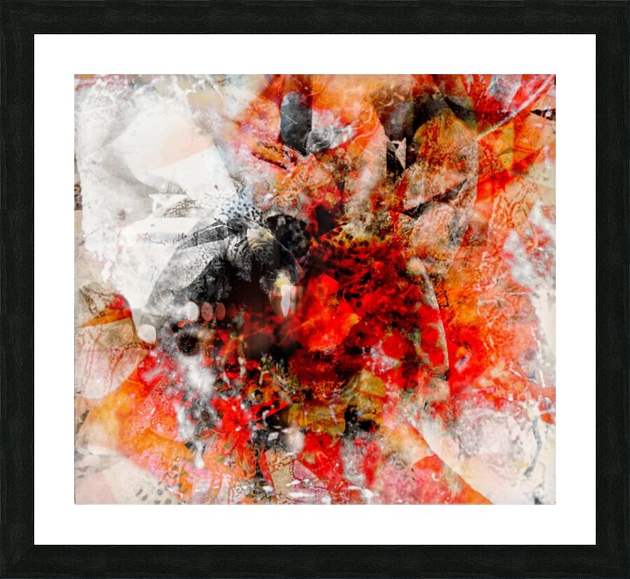 V901 Picture Frame print