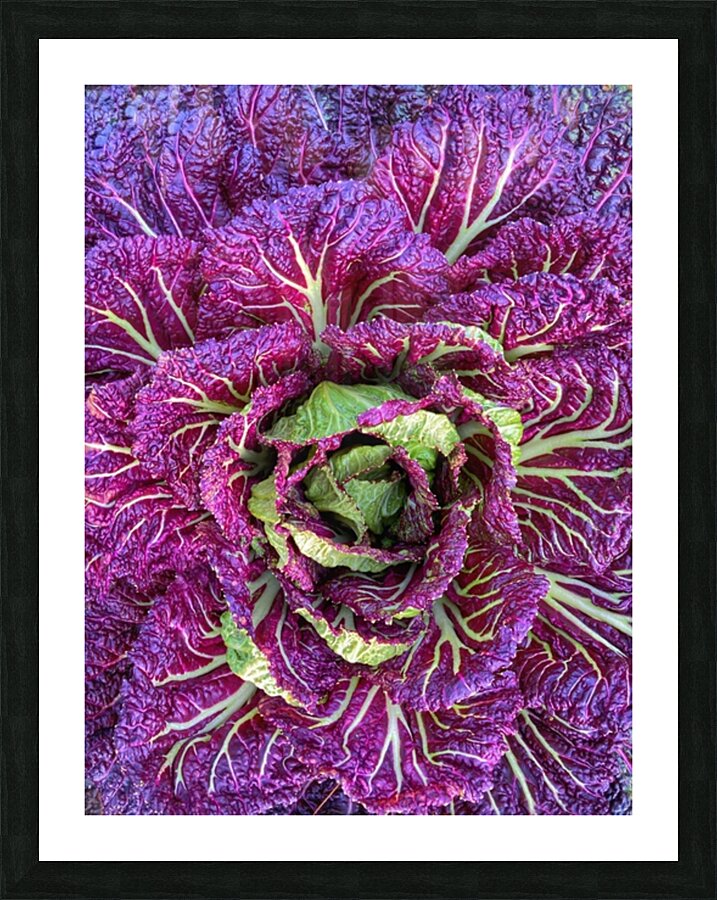V909 Picture Frame print