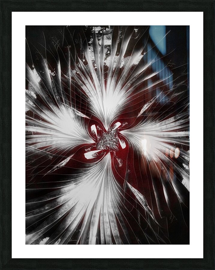 V912 Picture Frame print