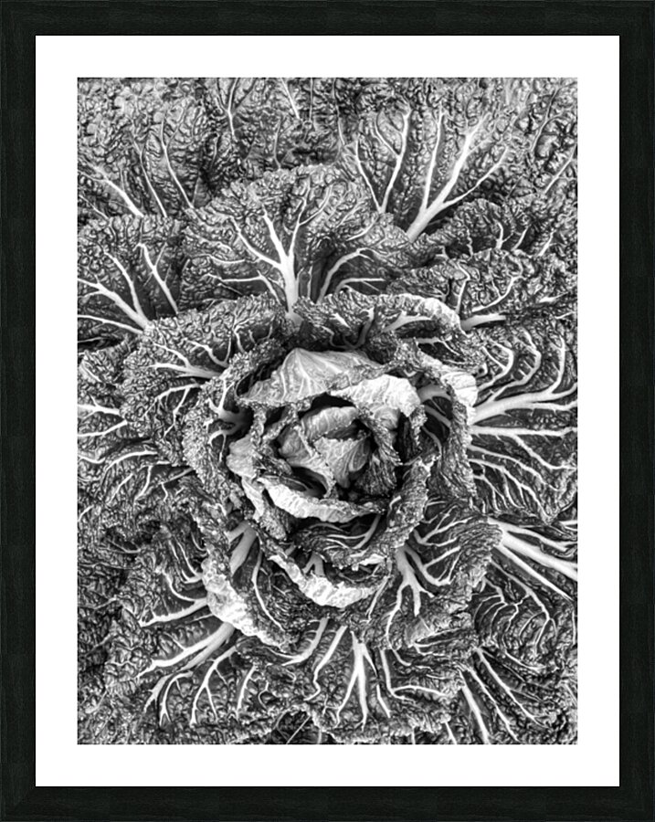 V914 Picture Frame print