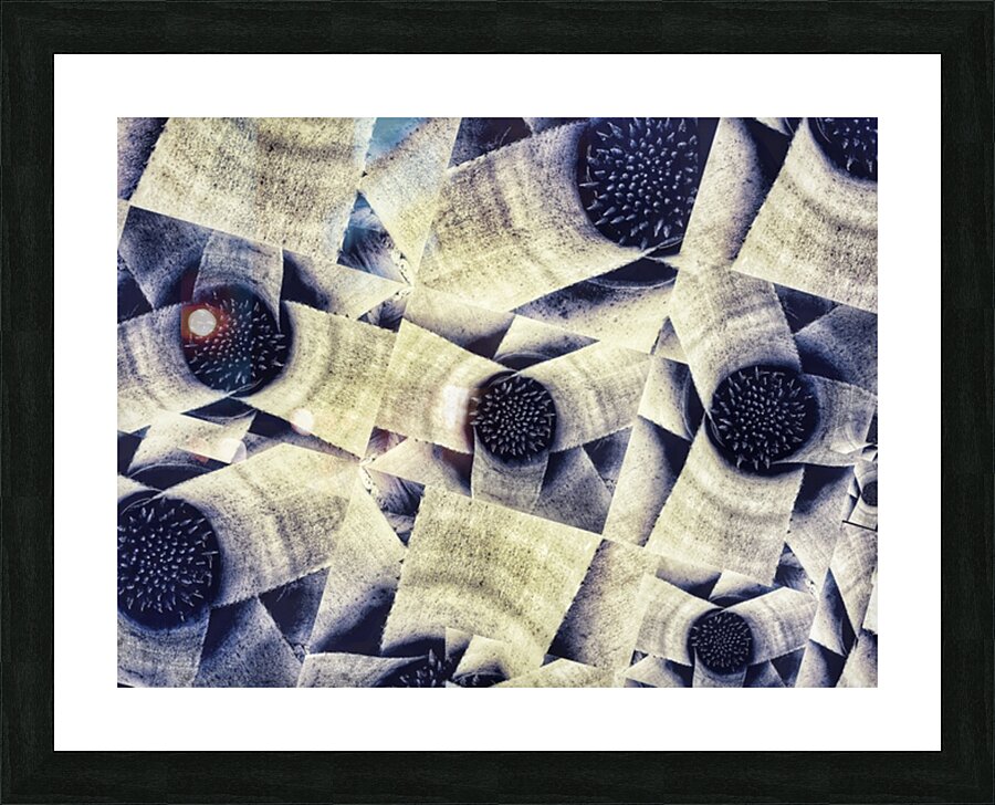 V915 Picture Frame print
