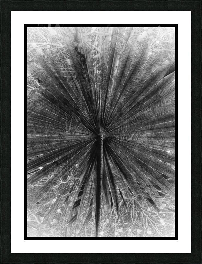 V918 Picture Frame print