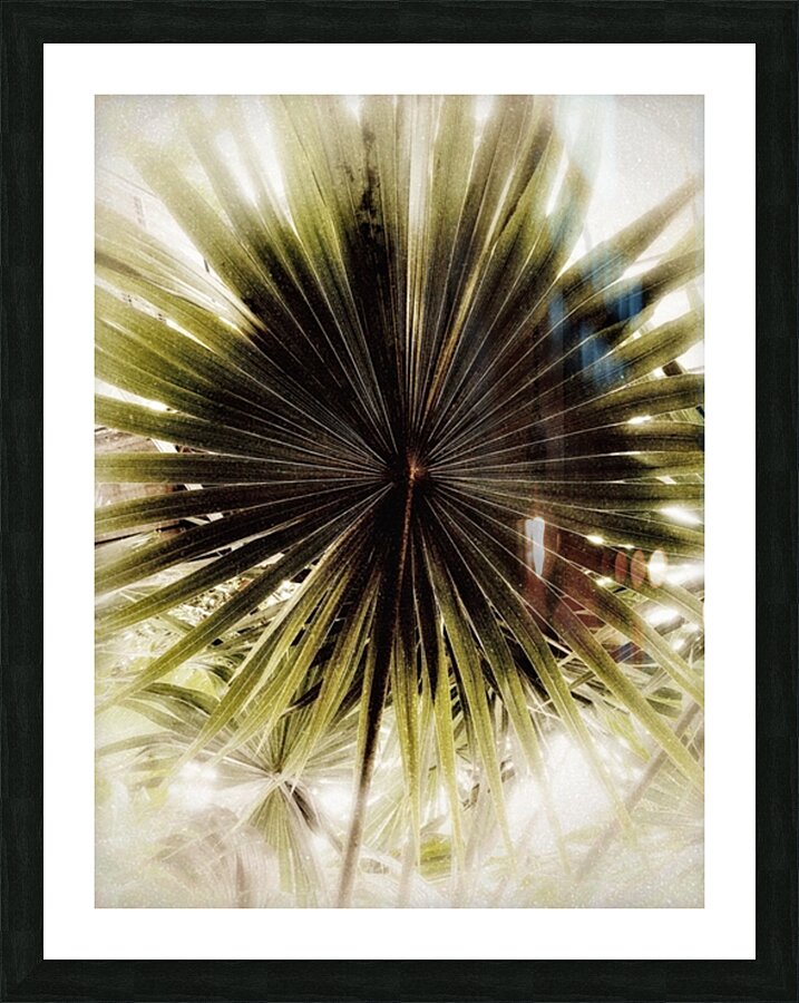 V921 Picture Frame print