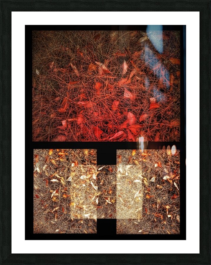 V922 Picture Frame print