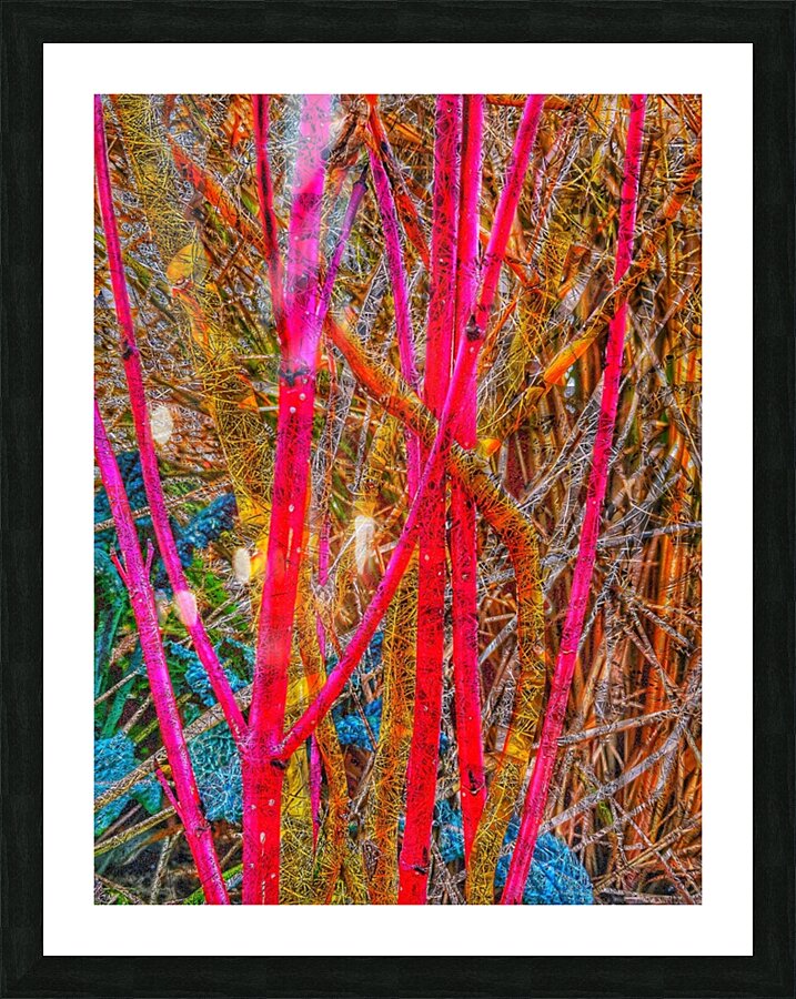 V923 Picture Frame print