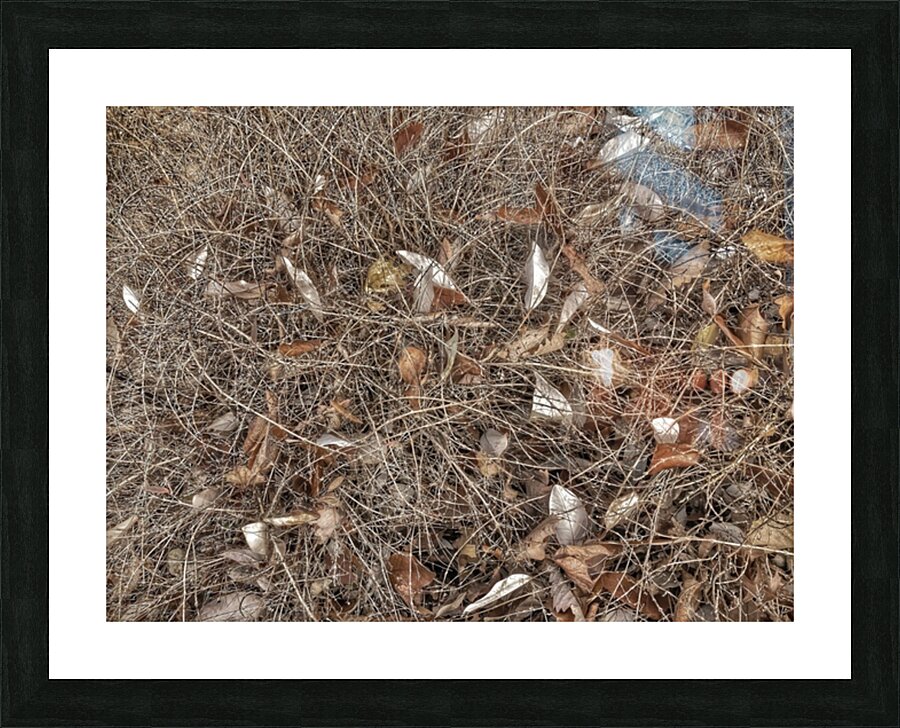 V924 Picture Frame print