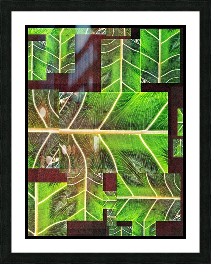 V925 Picture Frame print