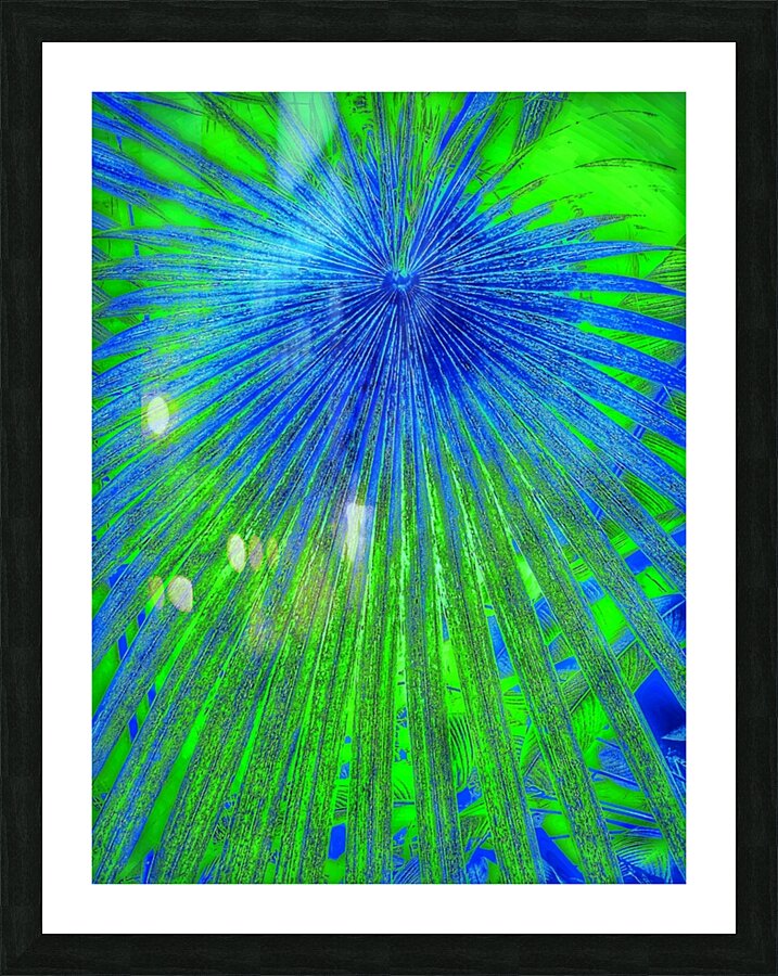V928 Picture Frame print