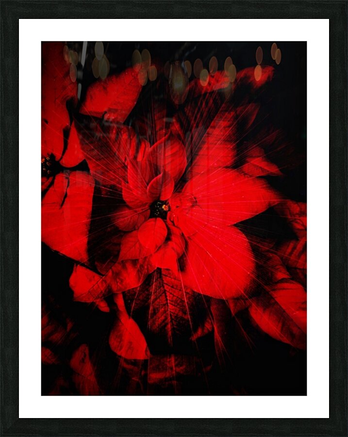 V931 Picture Frame print