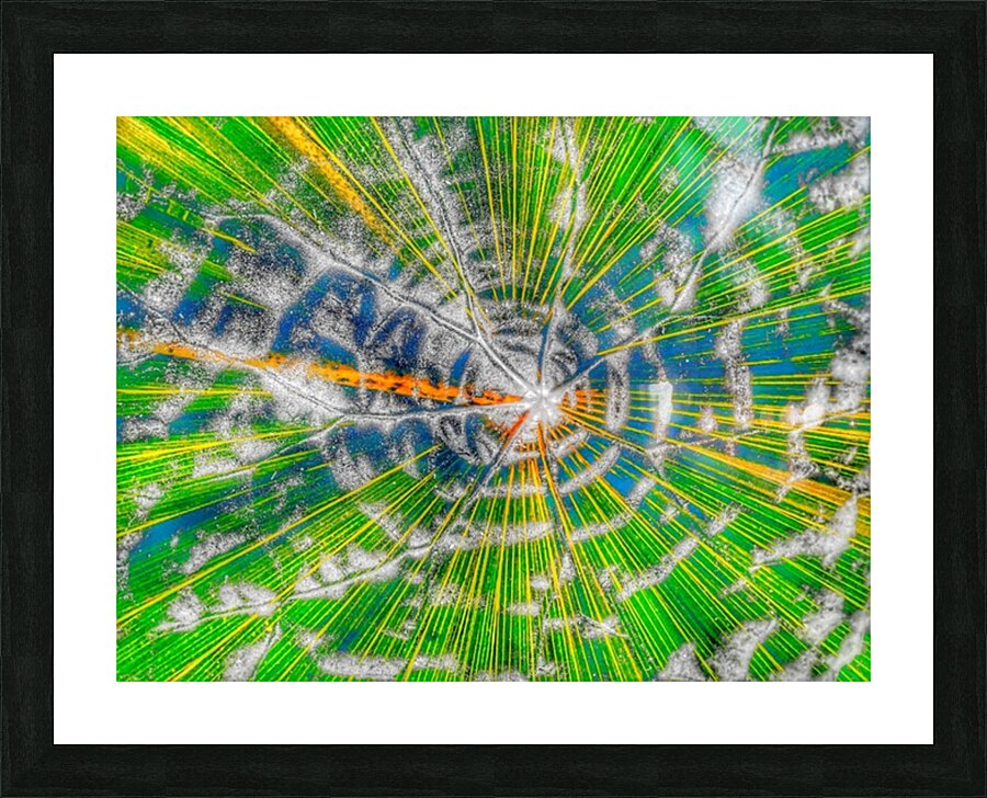 V935 Picture Frame print