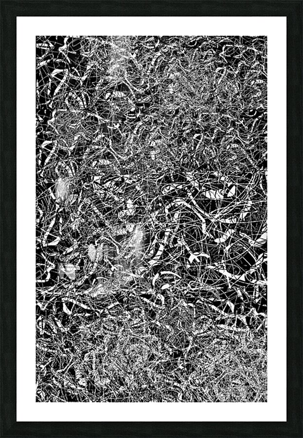 V951 Picture Frame print