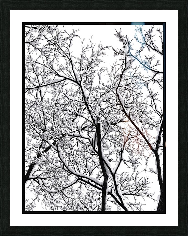 V969 Picture Frame print