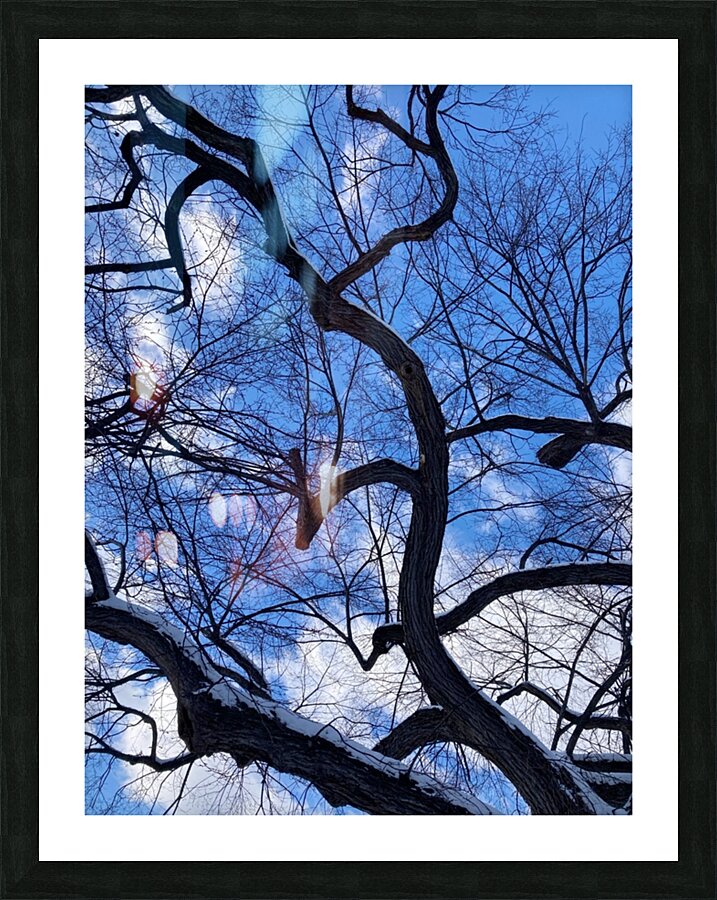 V971 Picture Frame print
