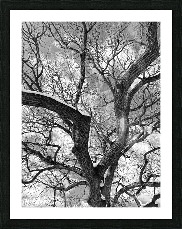 V972 Picture Frame print