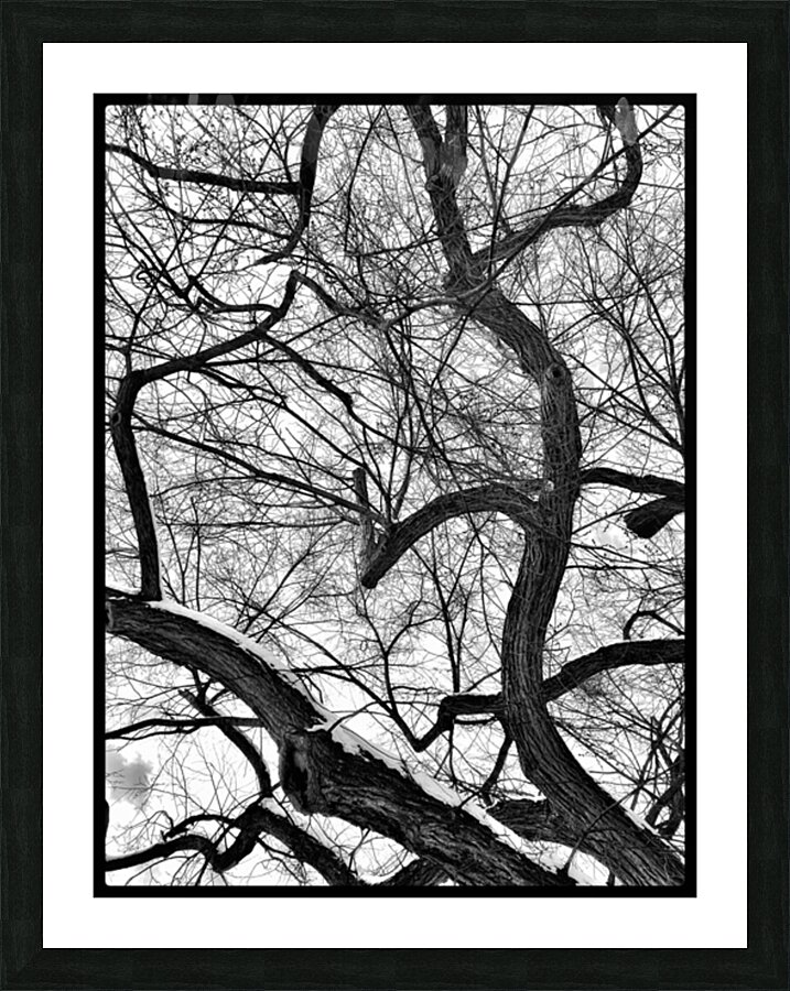 V973 Picture Frame print
