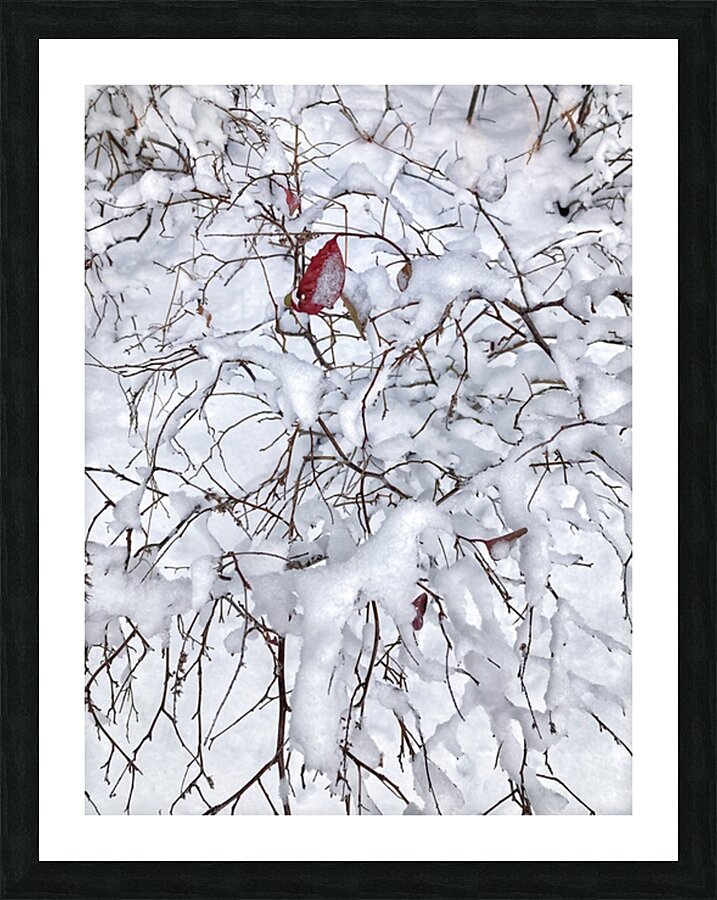 V974 Picture Frame print
