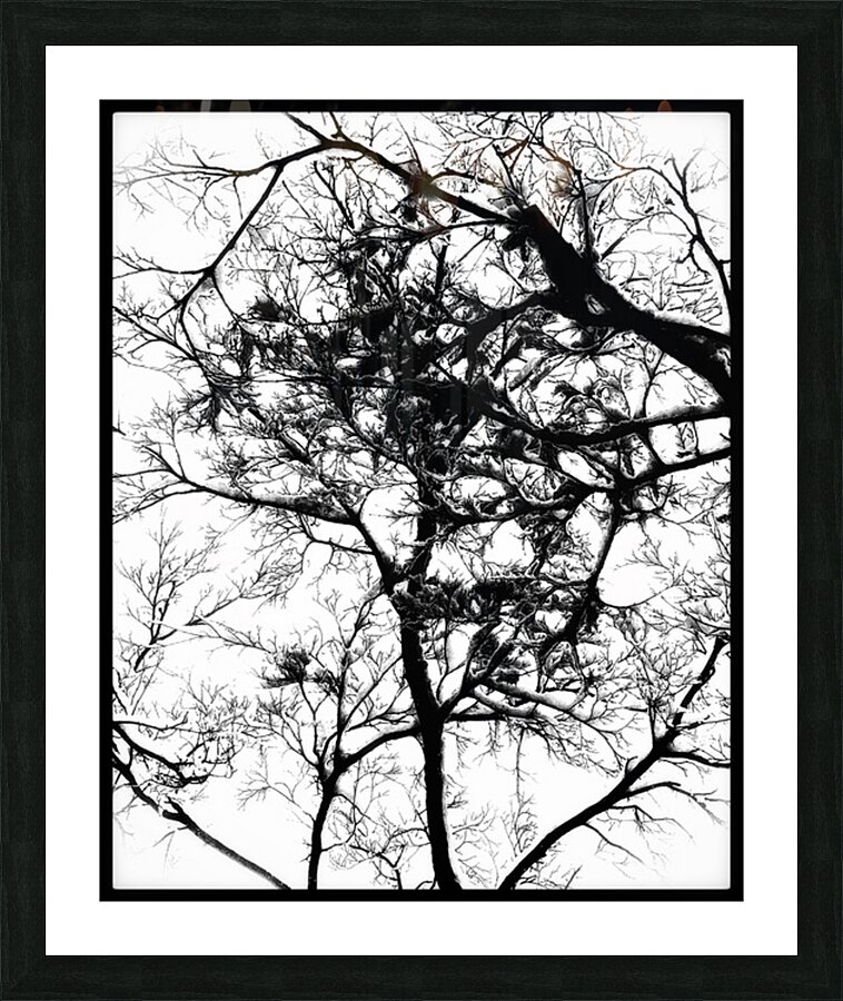 V978 Picture Frame print
