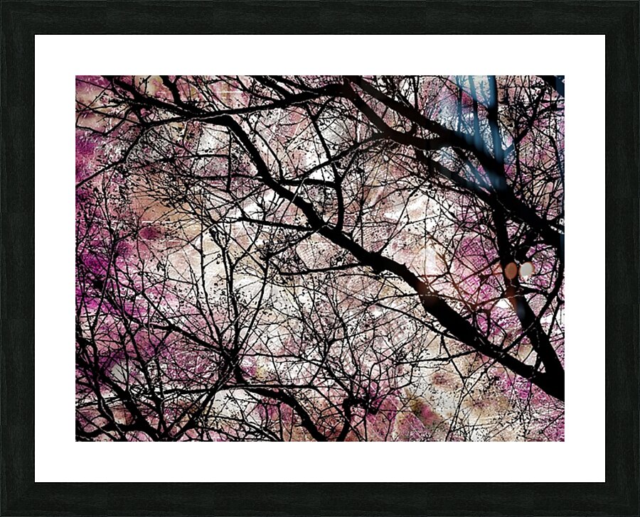 V992 Picture Frame print
