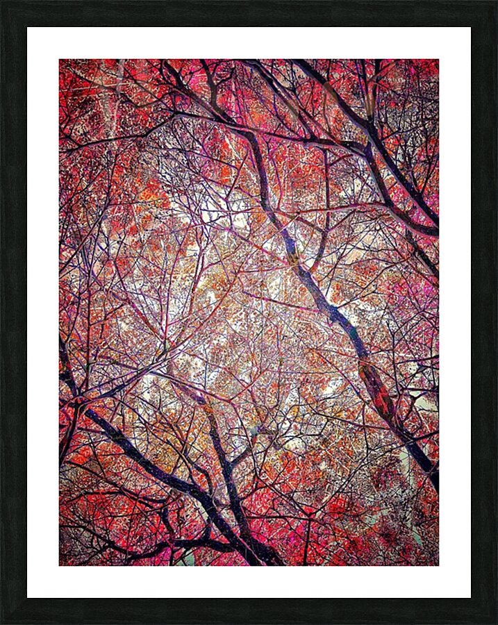 V995 Picture Frame print