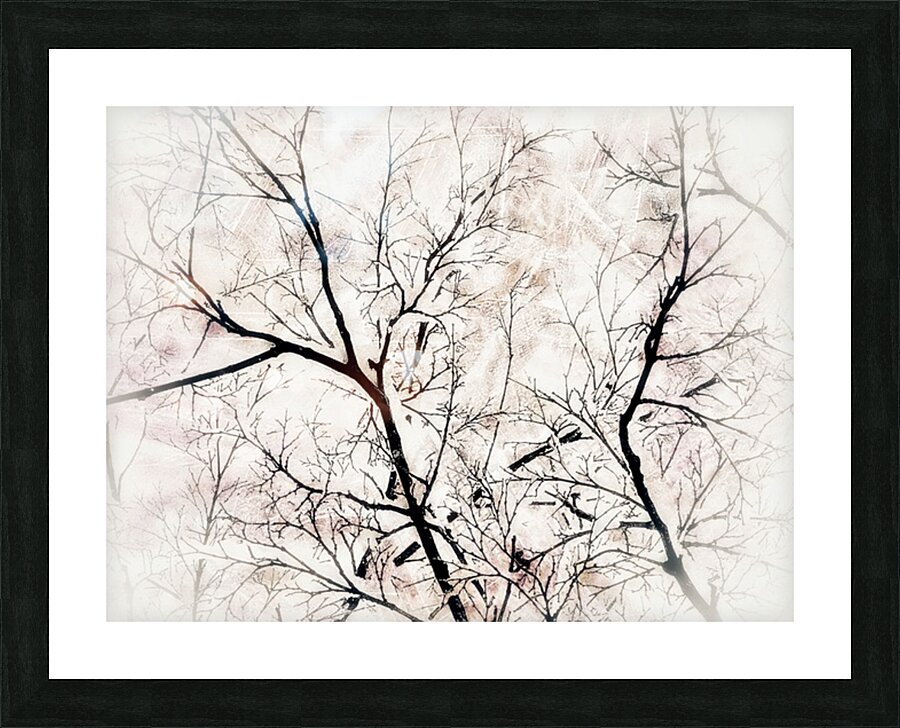 V996 Picture Frame print