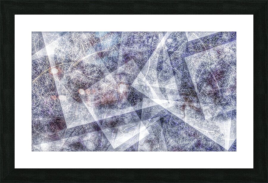 V1004 Picture Frame print