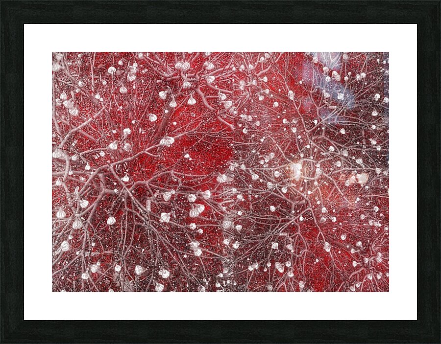V1010 Picture Frame print