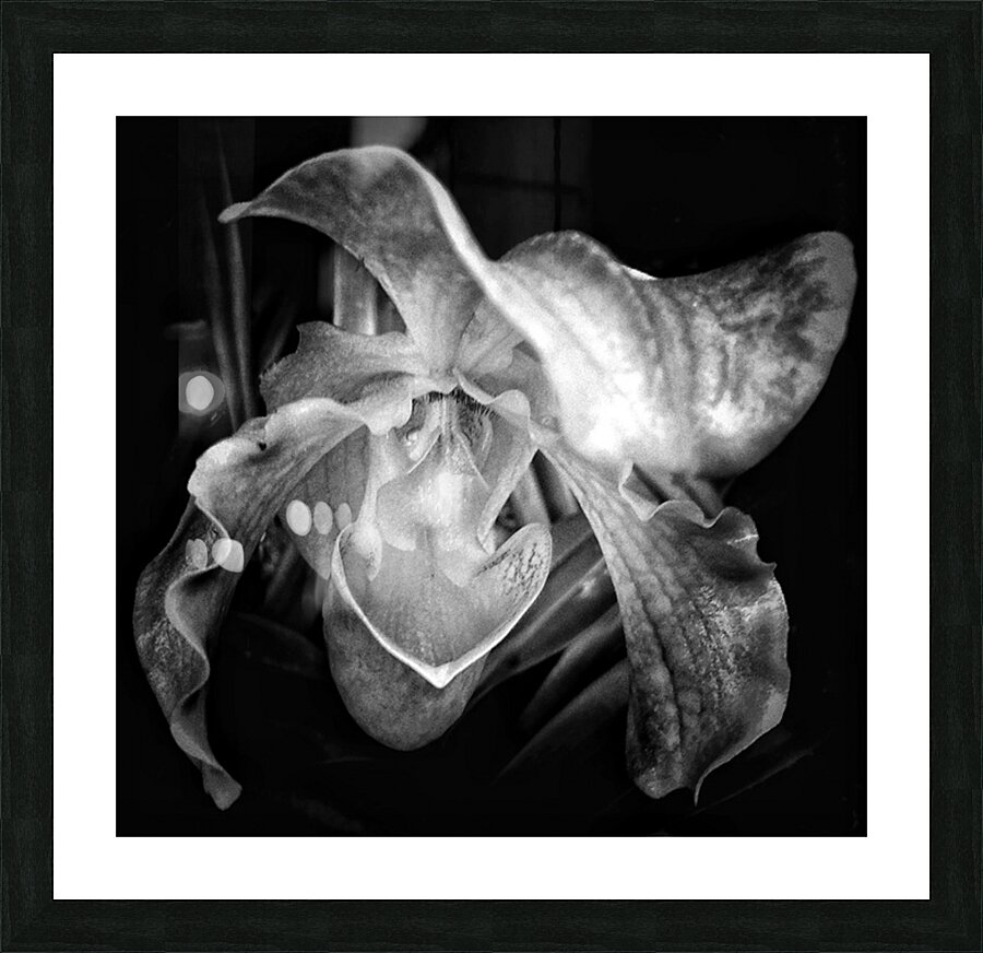 V1011 Picture Frame print