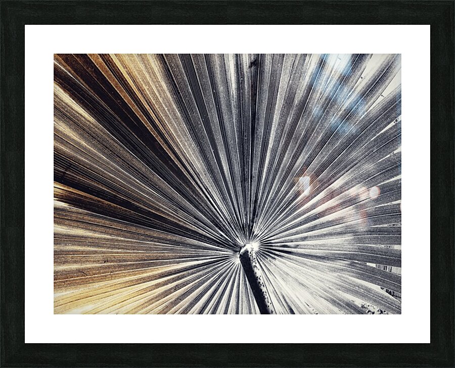 V1013 Picture Frame print