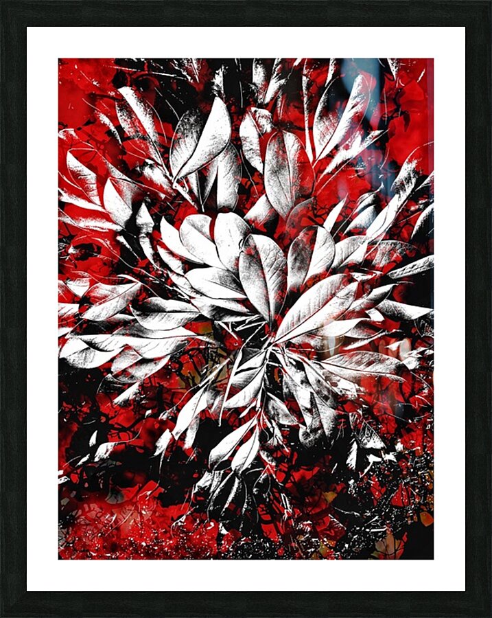 V1017 Picture Frame print