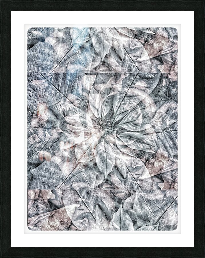 V1019 Picture Frame print