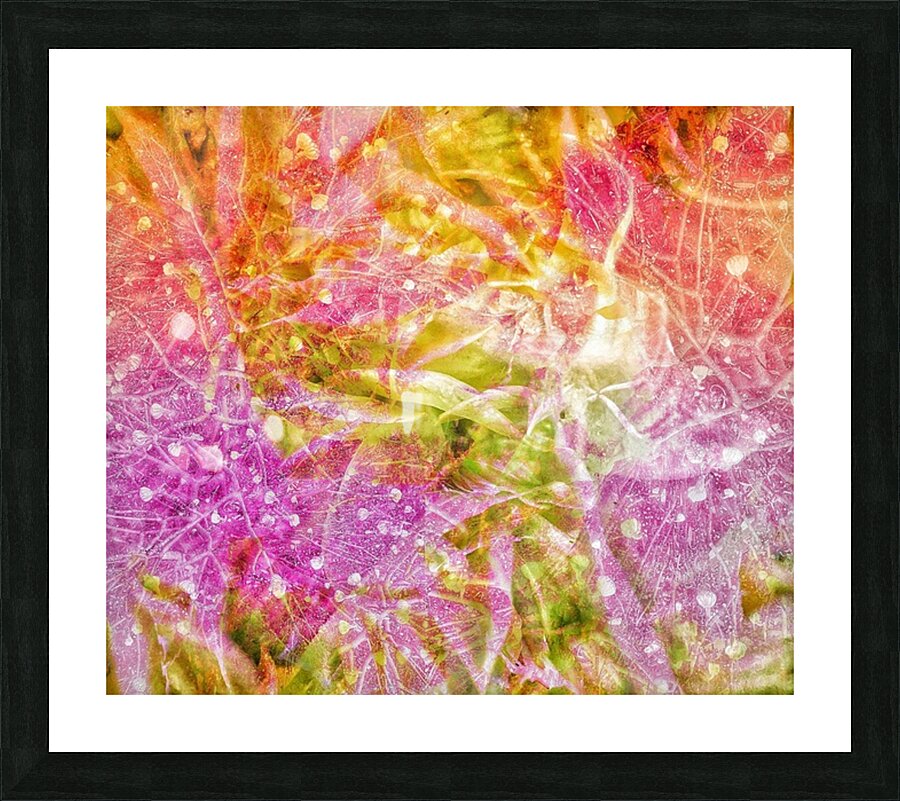 V1029 Picture Frame print