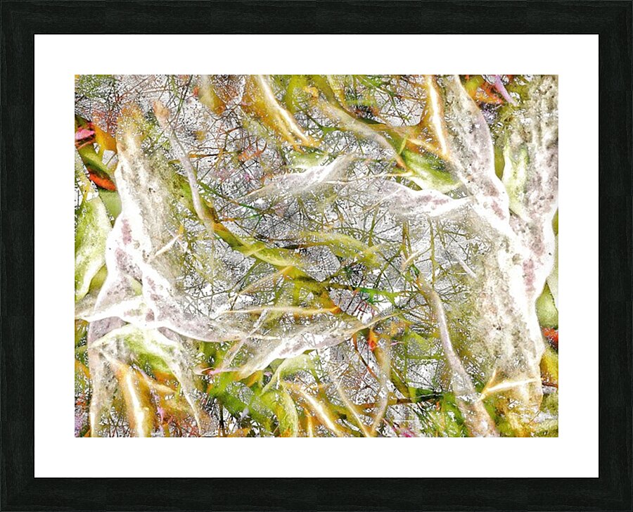 V1031 Picture Frame print