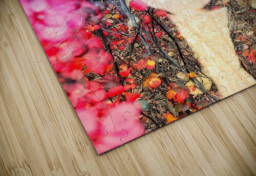 V1057 Natalie Stanislavsky puzzle