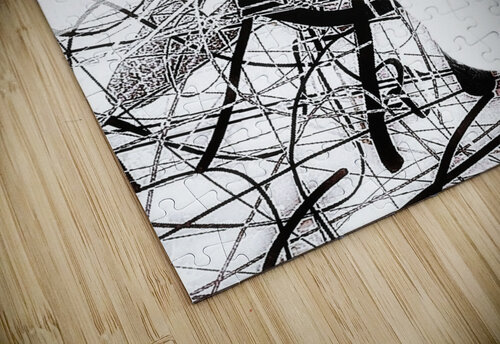 V1060 Natalie Stanislavsky puzzle