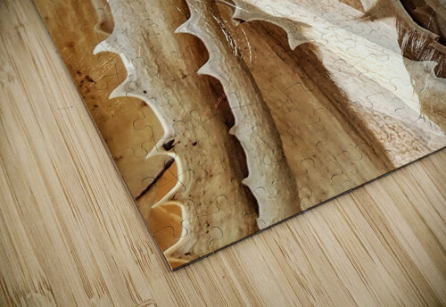 V1063 Natalie Stanislavsky puzzle
