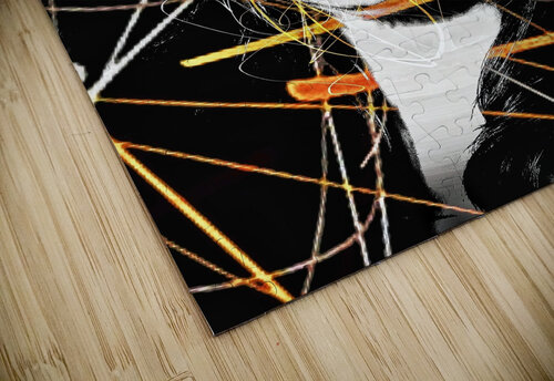 V1066 Natalie Stanislavsky puzzle
