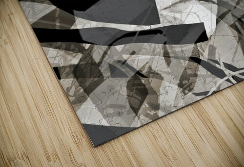 V1068 Natalie Stanislavsky puzzle