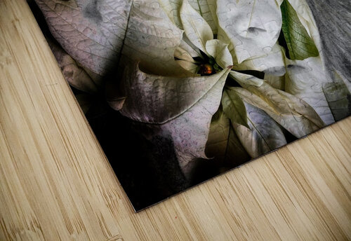 V1071 Natalie Stanislavsky puzzle