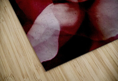 V1077 Natalie Stanislavsky puzzle