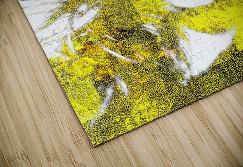 V1078 Natalie Stanislavsky puzzle