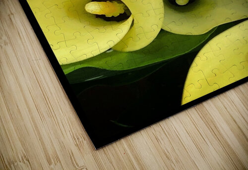 V1093 Natalie Stanislavsky puzzle