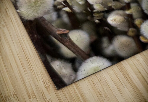 V1094 Natalie Stanislavsky puzzle