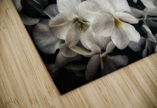 V1095 Natalie Stanislavsky puzzle