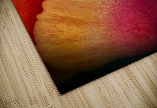 V1101 Natalie Stanislavsky puzzle