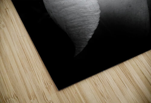 V1102 Natalie Stanislavsky puzzle