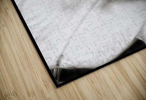 V1103 Natalie Stanislavsky puzzle