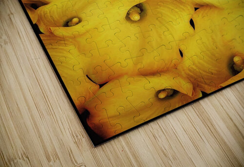 V1105 Natalie Stanislavsky puzzle