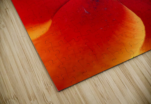 V1117 Natalie Stanislavsky puzzle