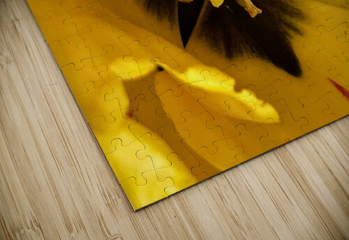 V1118 Natalie Stanislavsky puzzle